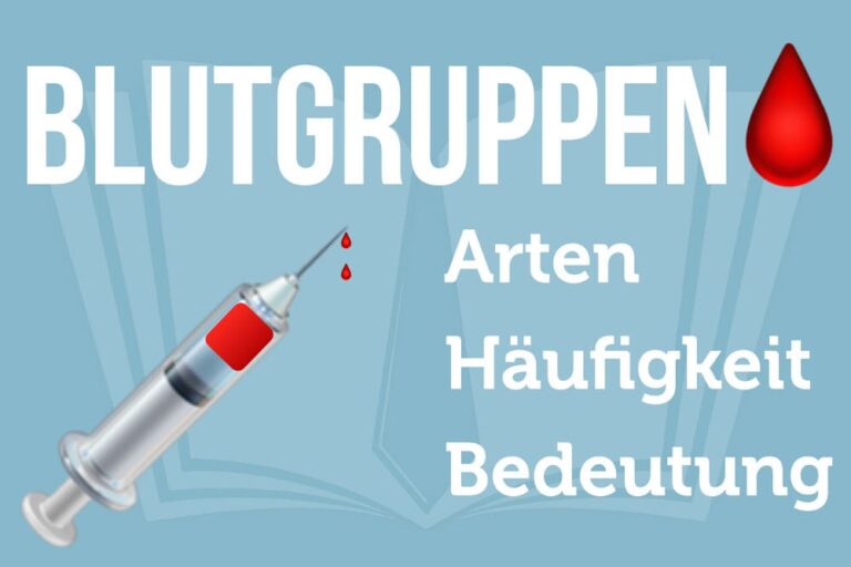 Blutgruppen: Häufigkeit, Vererbung + Tabelle