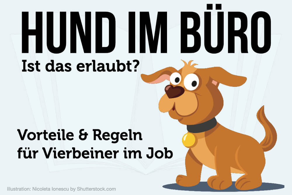 Hund im Büro: Ist das erlaubt? Vorteile & Tipps