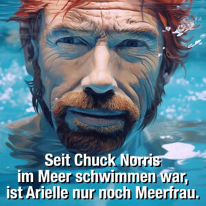 Chuck Norris Witze Arielle